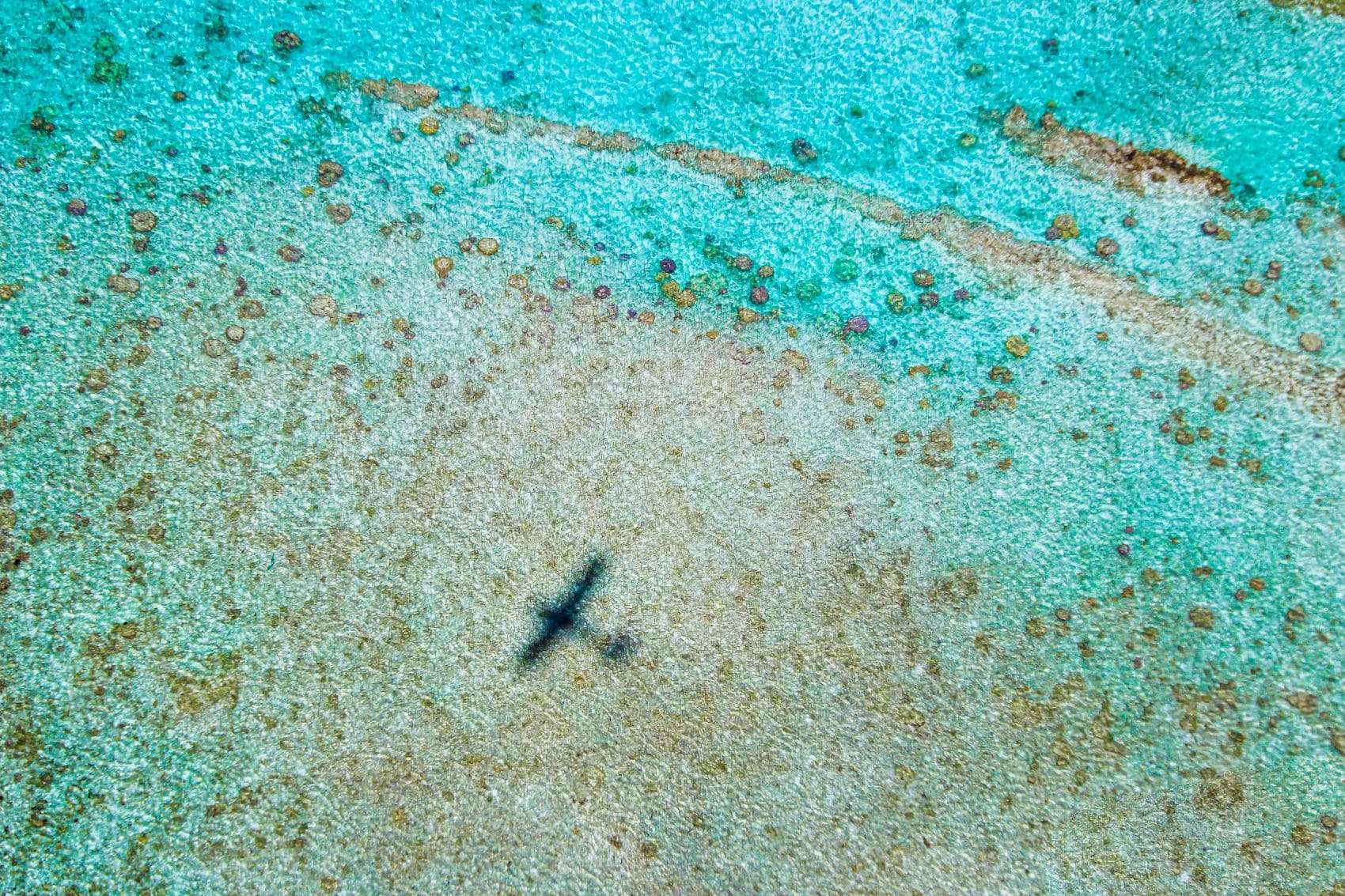Schatten eines Flugzeugs im Meer vor Insel Rarotonga 