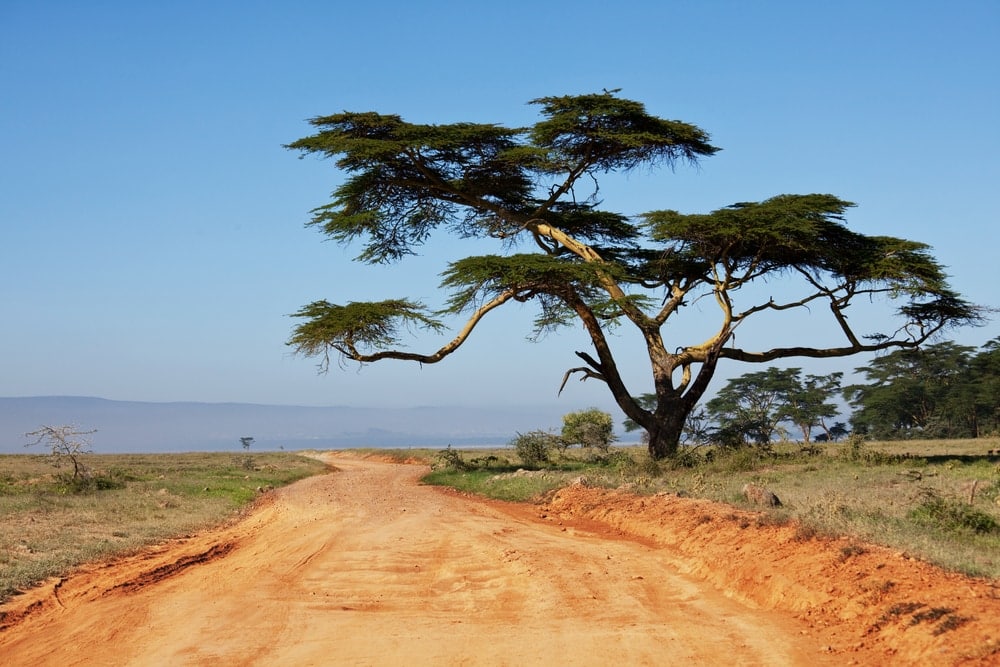 Straße in Kenia