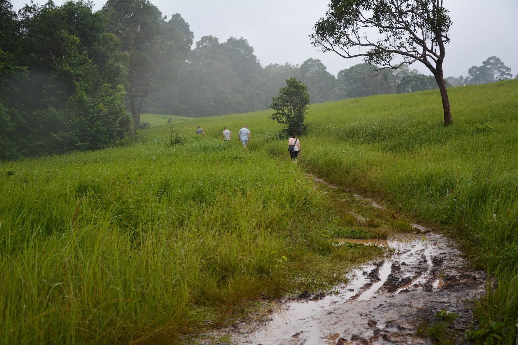 Trekking in Nationalpark Thailand