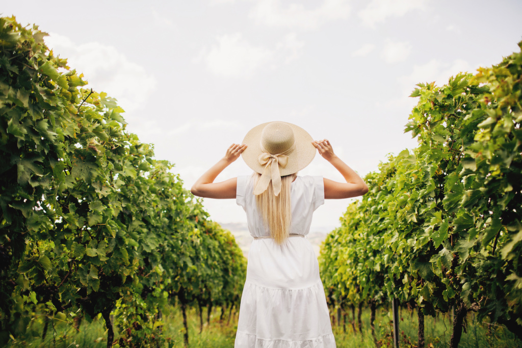Weinwandern in Baden-Württemberg