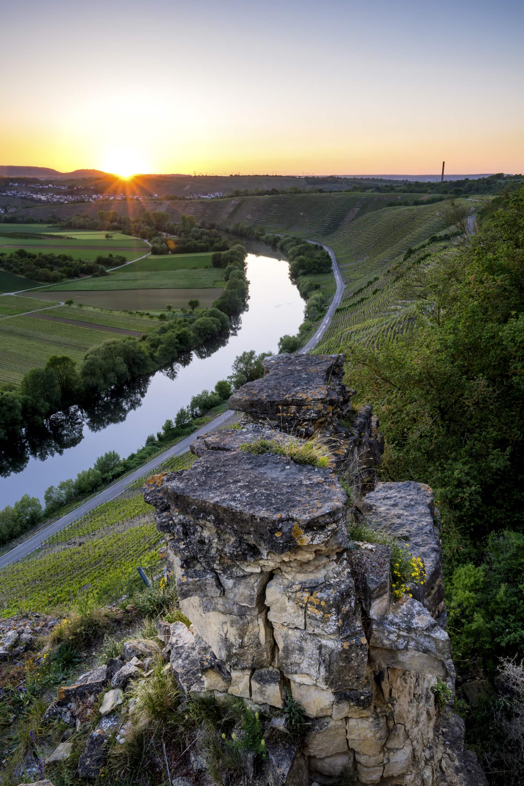 Neckar in Hessigheim mit Felsengärten beim Weinwandern in Baden-Württemberg