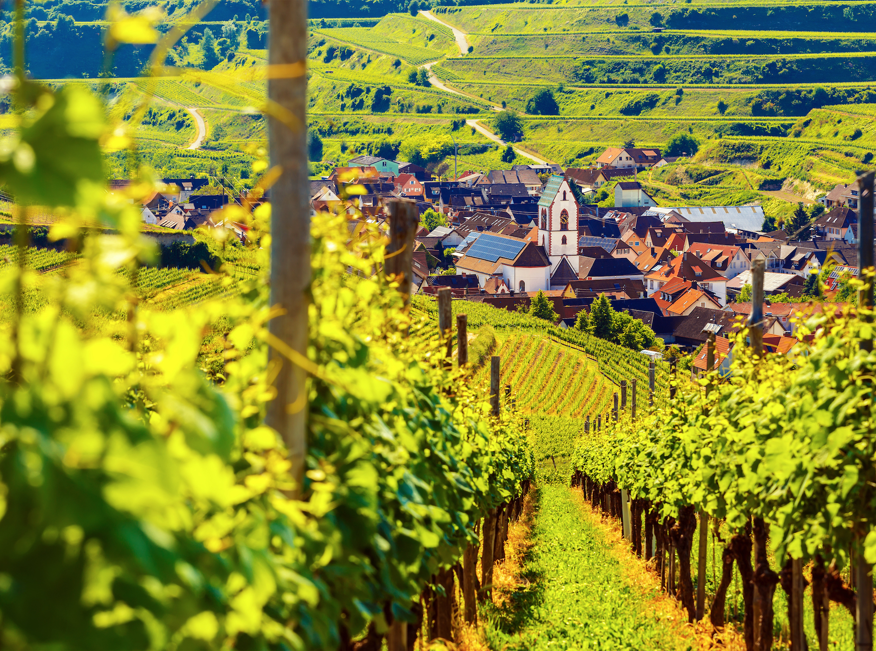 Oberbergen am Kaiserstuhl in Baden-Württemberg