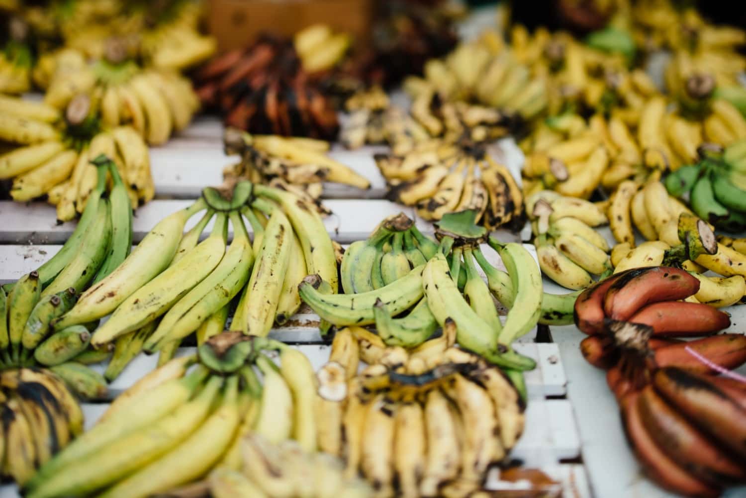 Bananenstauden in gelb und grün