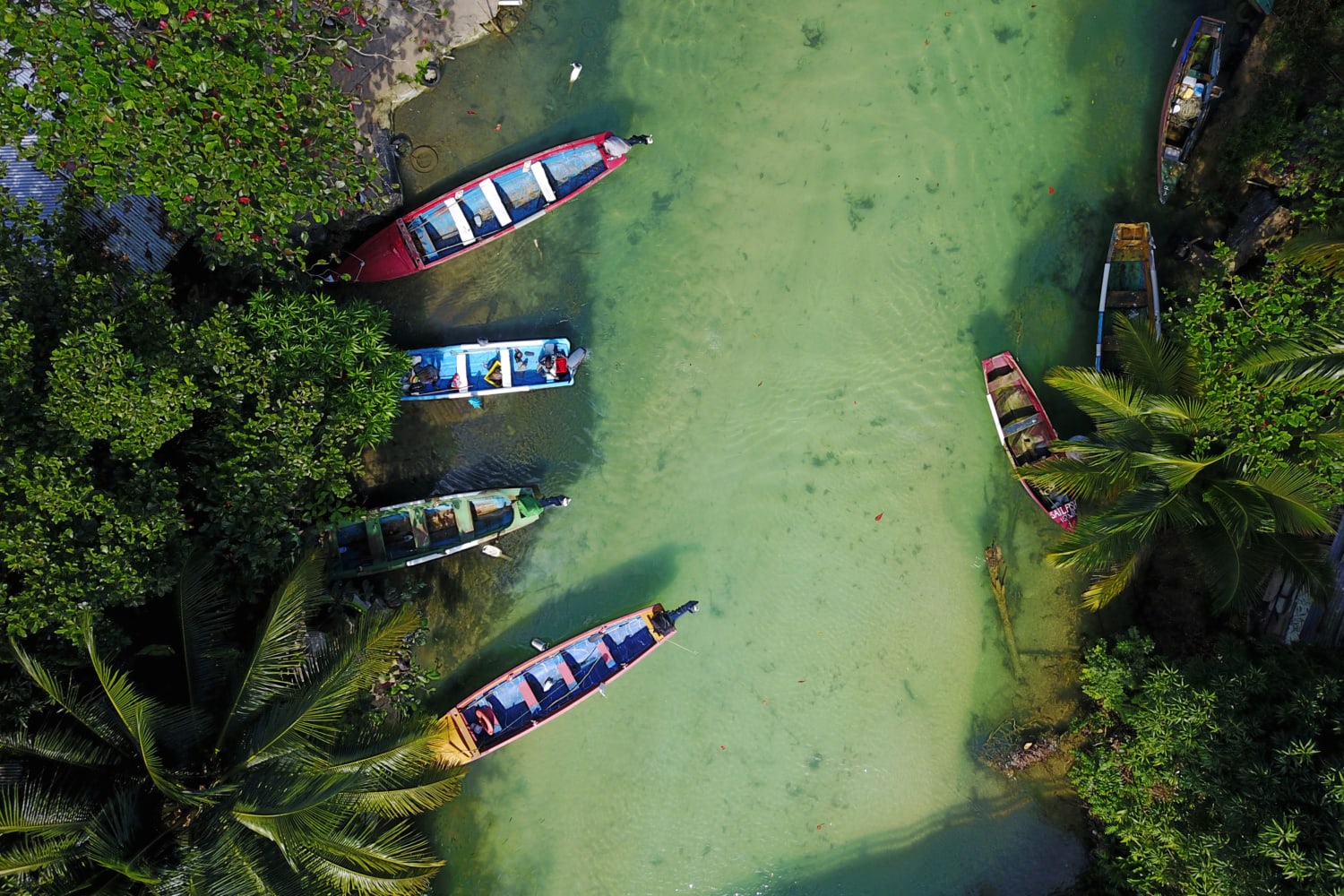 Jamaikanischer Fluss aus der Vogelperspektive