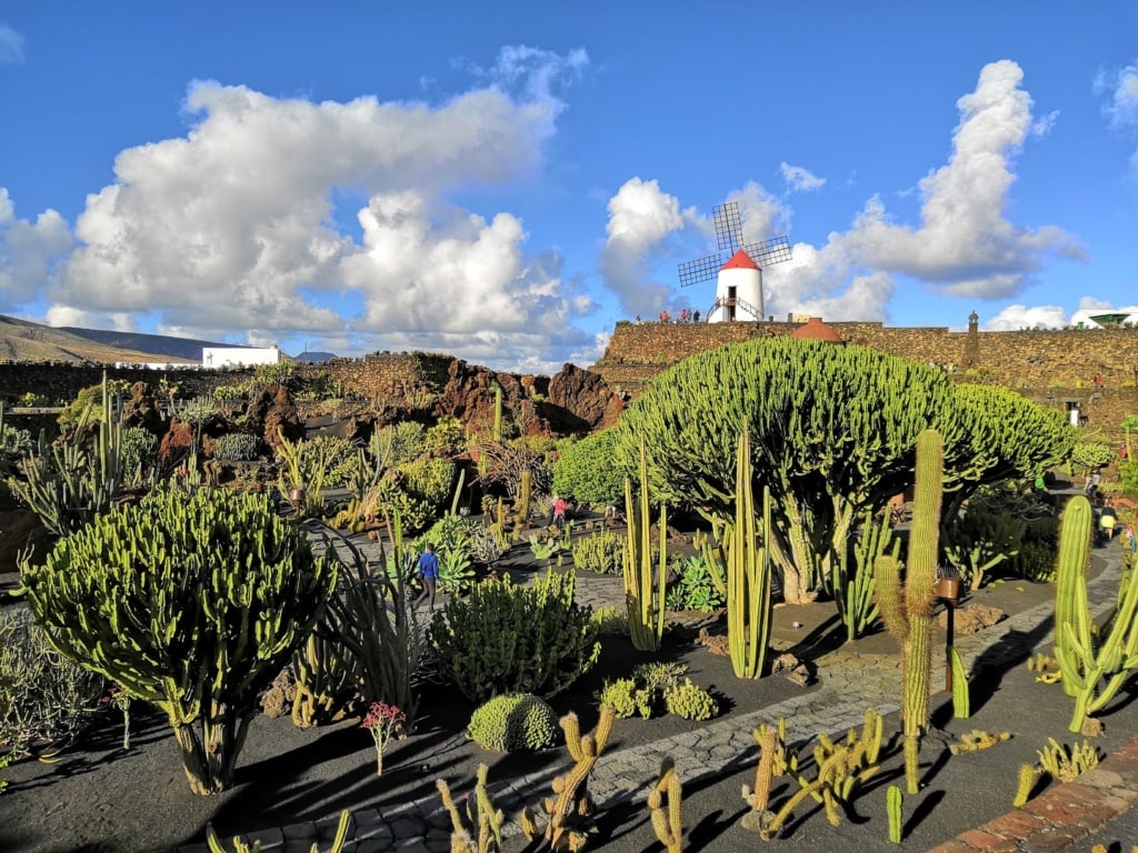 Jardin de Cactus auf Lanzarote