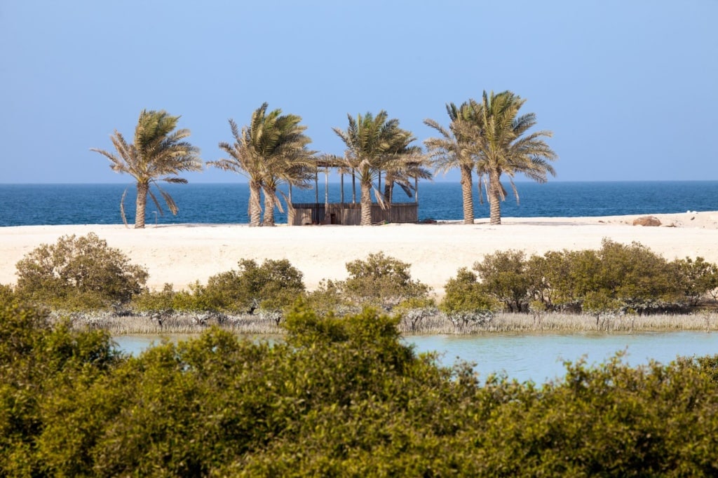Strand auf Sir Bani Yas island