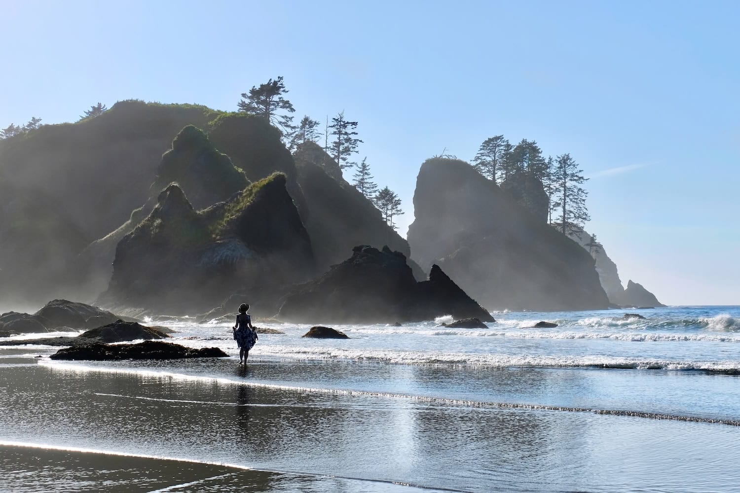 Die Olympic Peninsula rund um Forks in Washington State