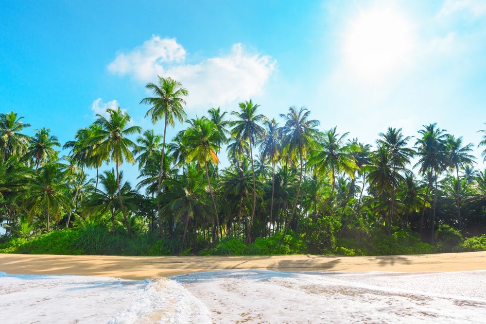 Strand in Goa