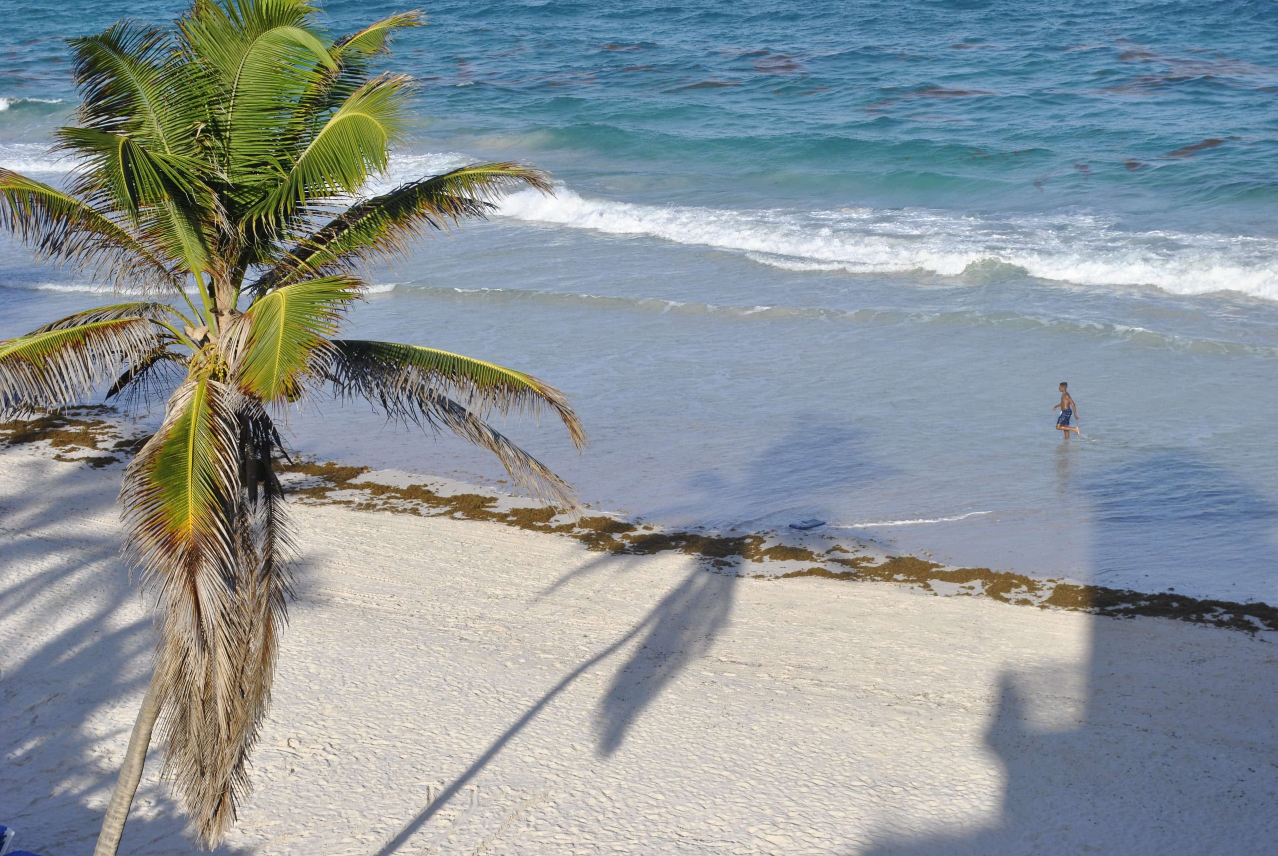 Diese 10 und weitere Gründe locken auf die Karibikinsel Barbados.