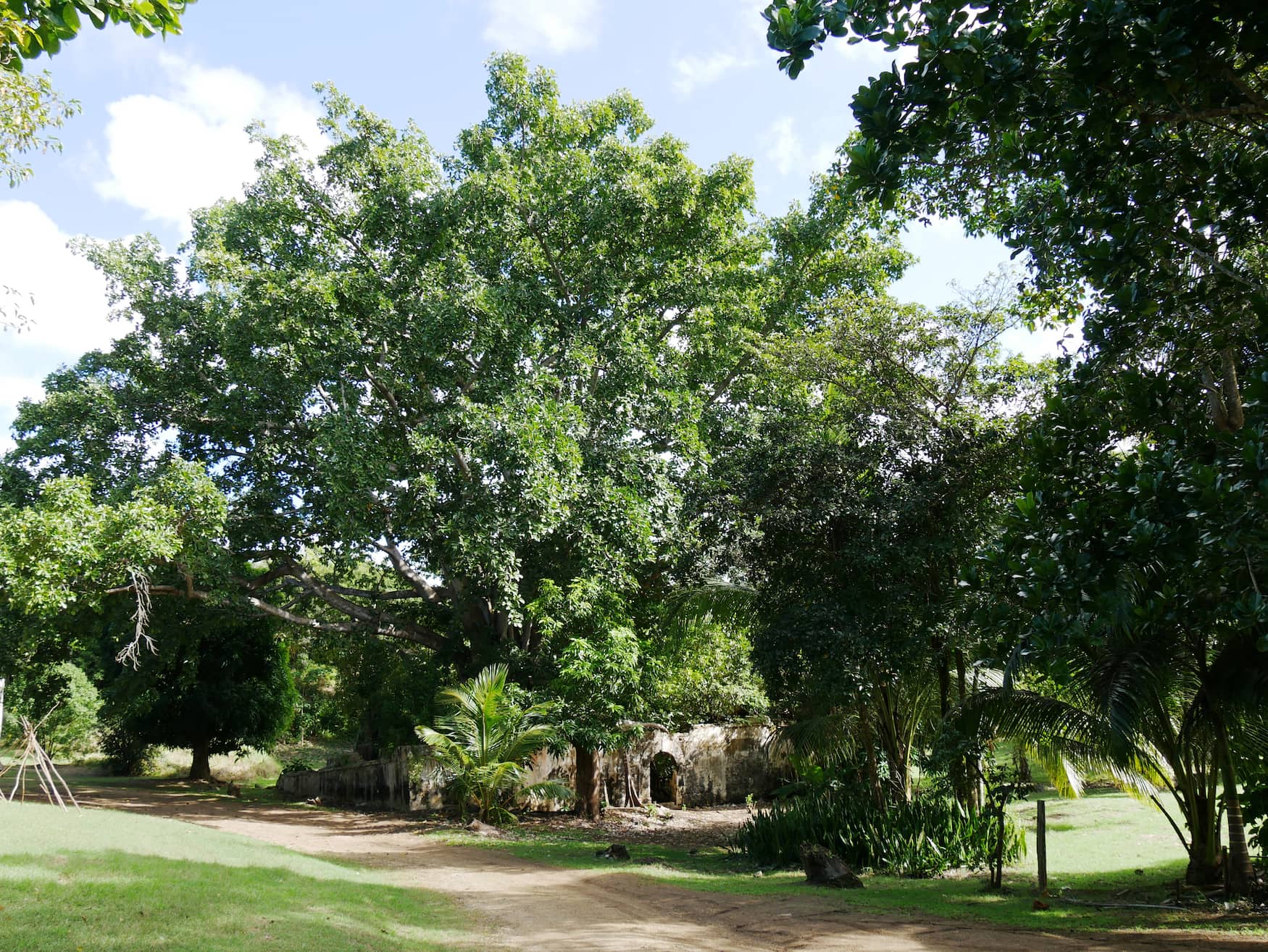 Mystischer Ort auf Guadeloupe
