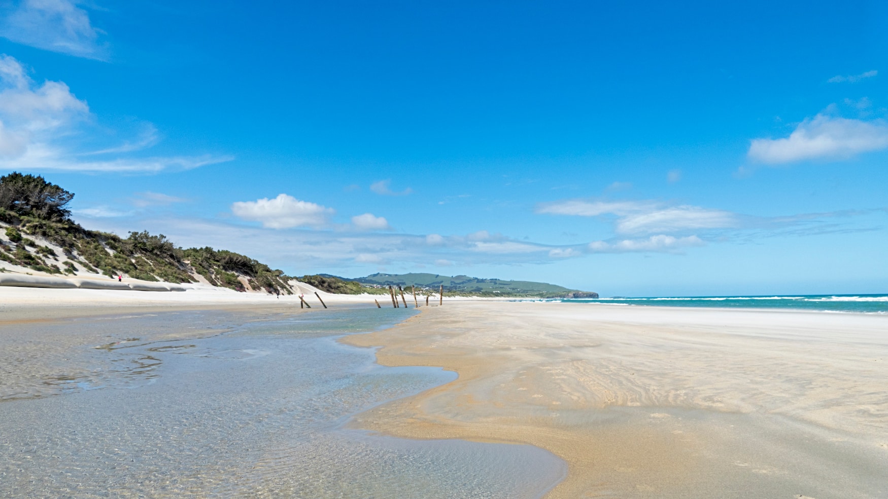 Leerer Strand in St. Clair, Dunedin
