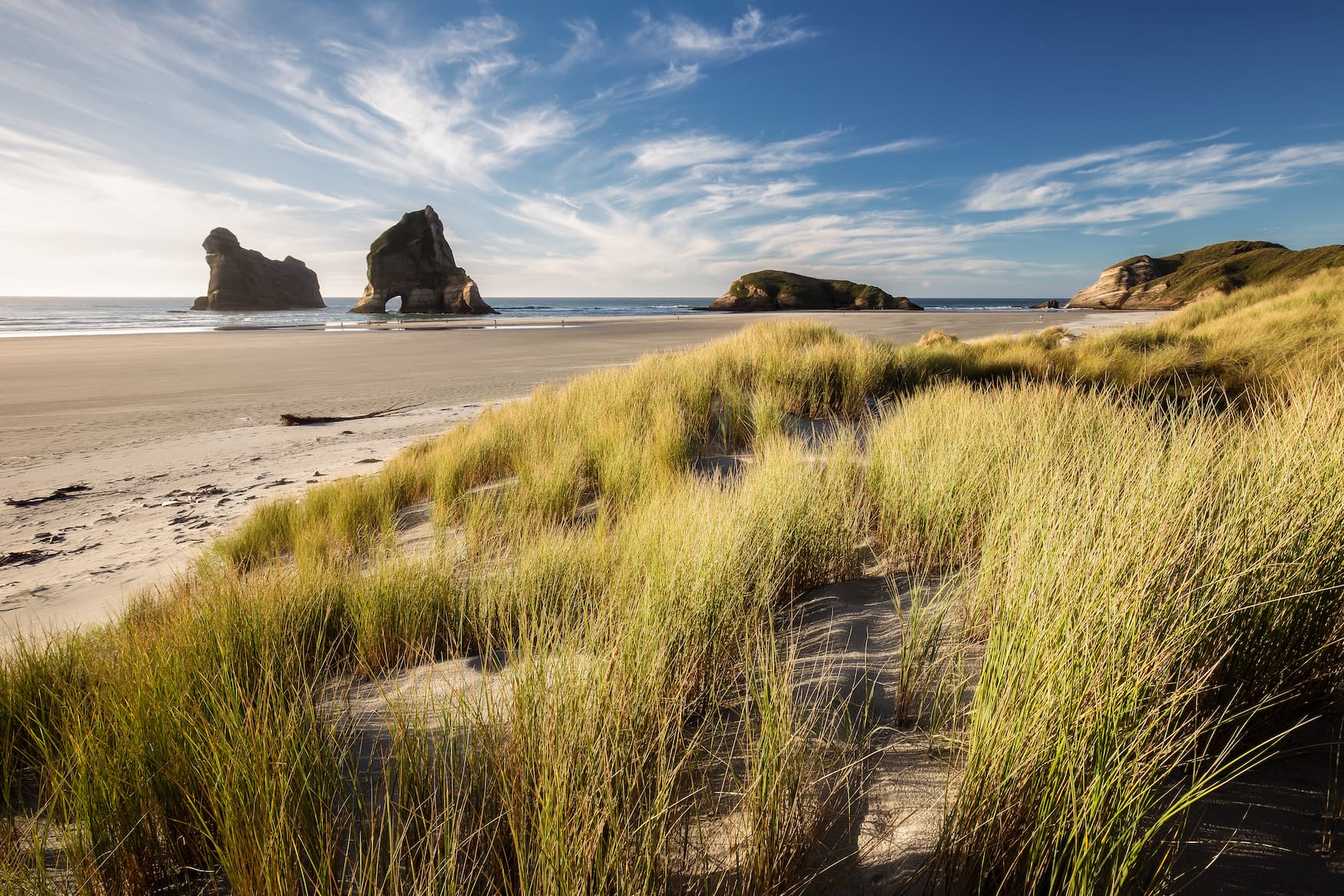 Dünen und Felsen am Wharariki Beach in Neuseeland