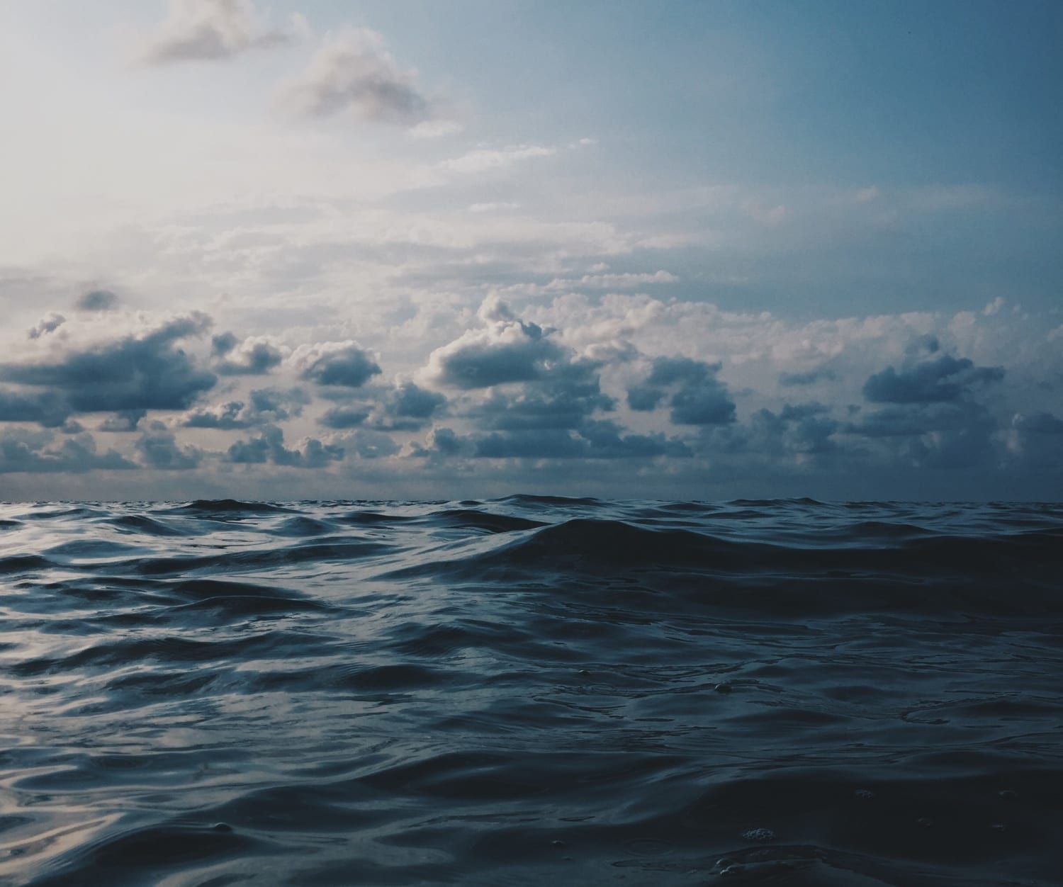 Nichts als Wasser. Erfolgloses Whalewatching