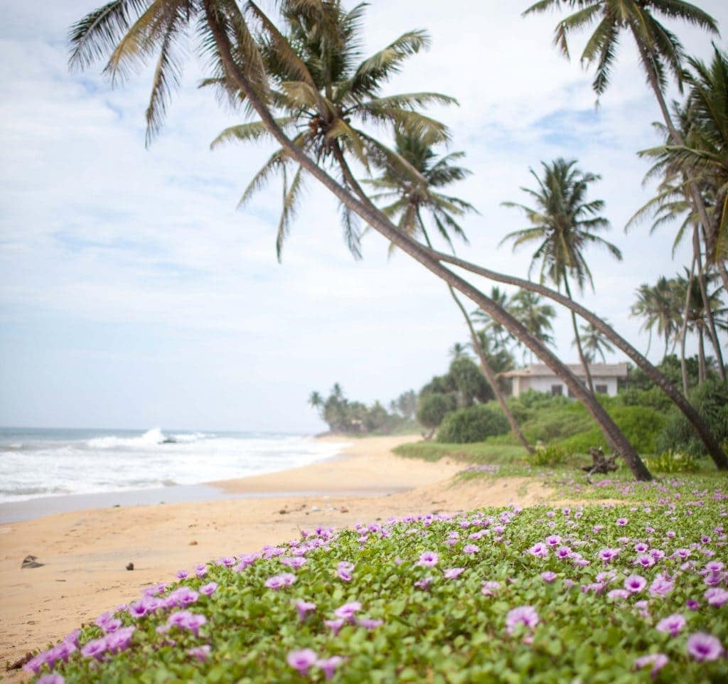Ein malerischer Strand bei Hikkaduwa, Sri Lanka