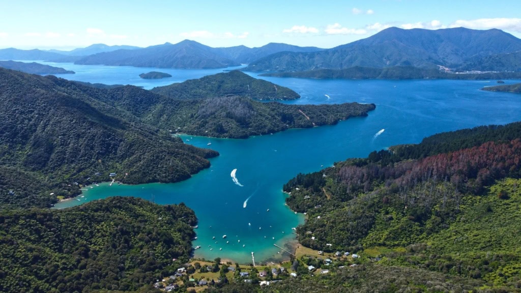 Landschaft Marlborough Sounds Neuseeland