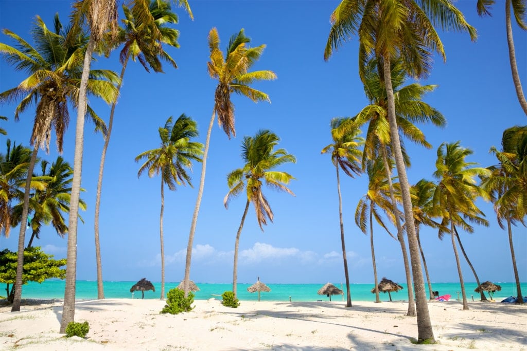 Strand in Sansibar