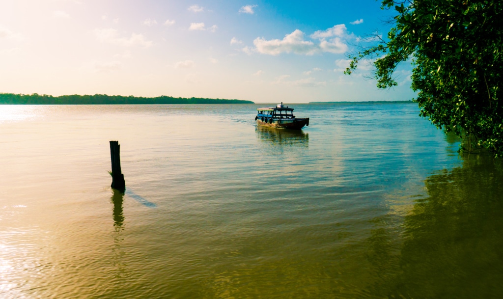 Taxi Boot auf einem Floss in Suriname