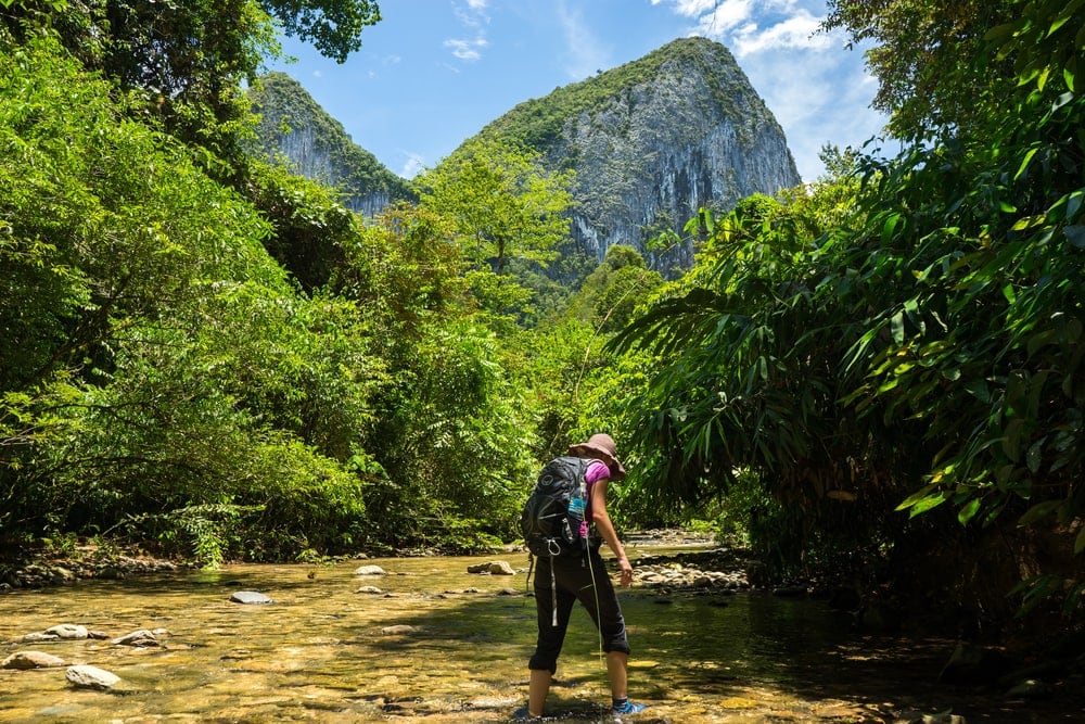 Wandern auf Borneo