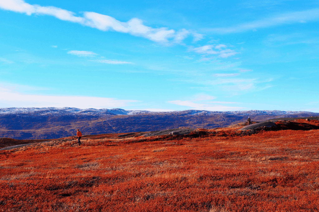 Farbenpracht Grönland. Hier in Kangerlussuaq
