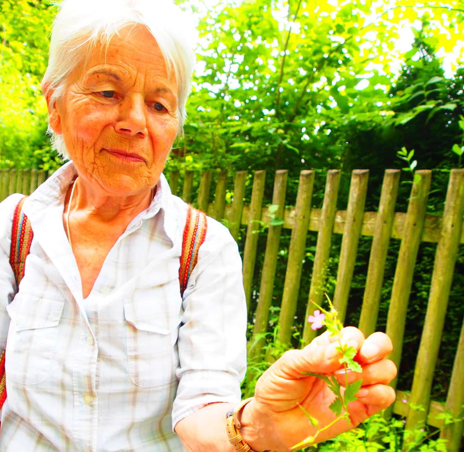 Kräuterführung mit Irmgard
