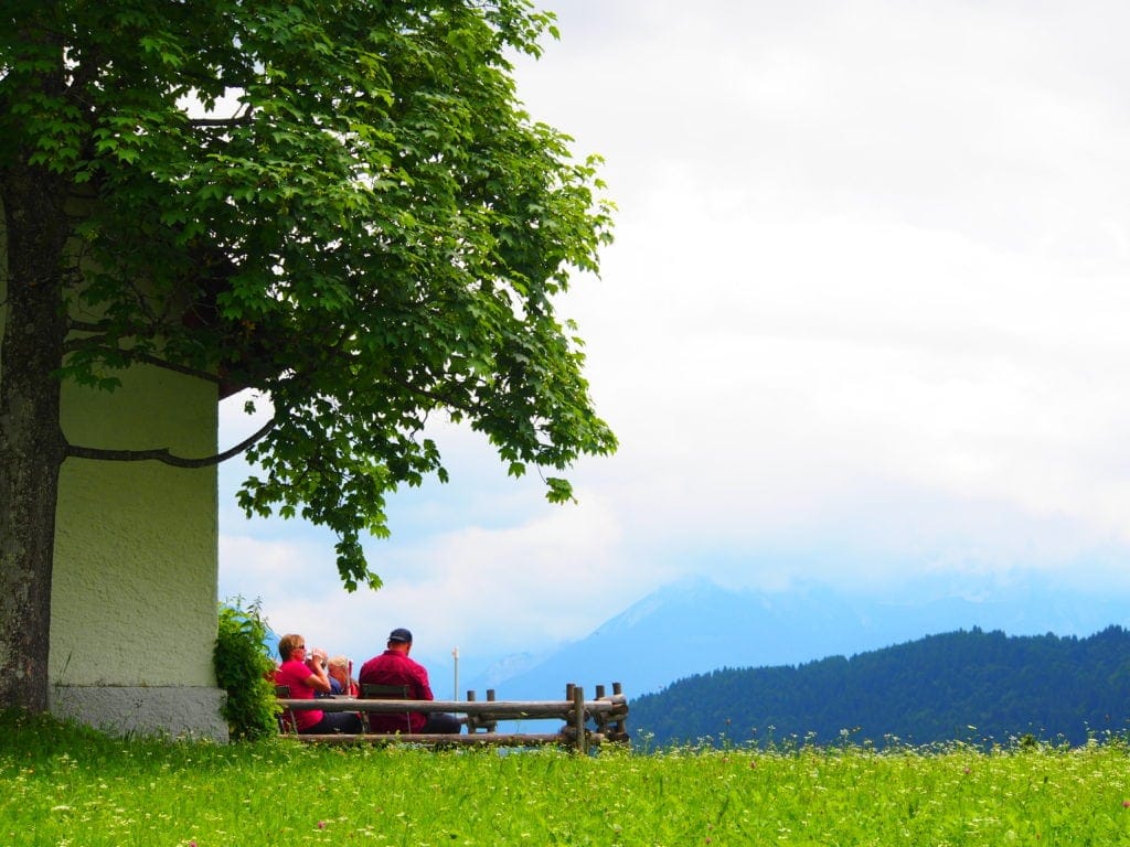 Kräuterwanderung in Garmisch-Patenkirchen