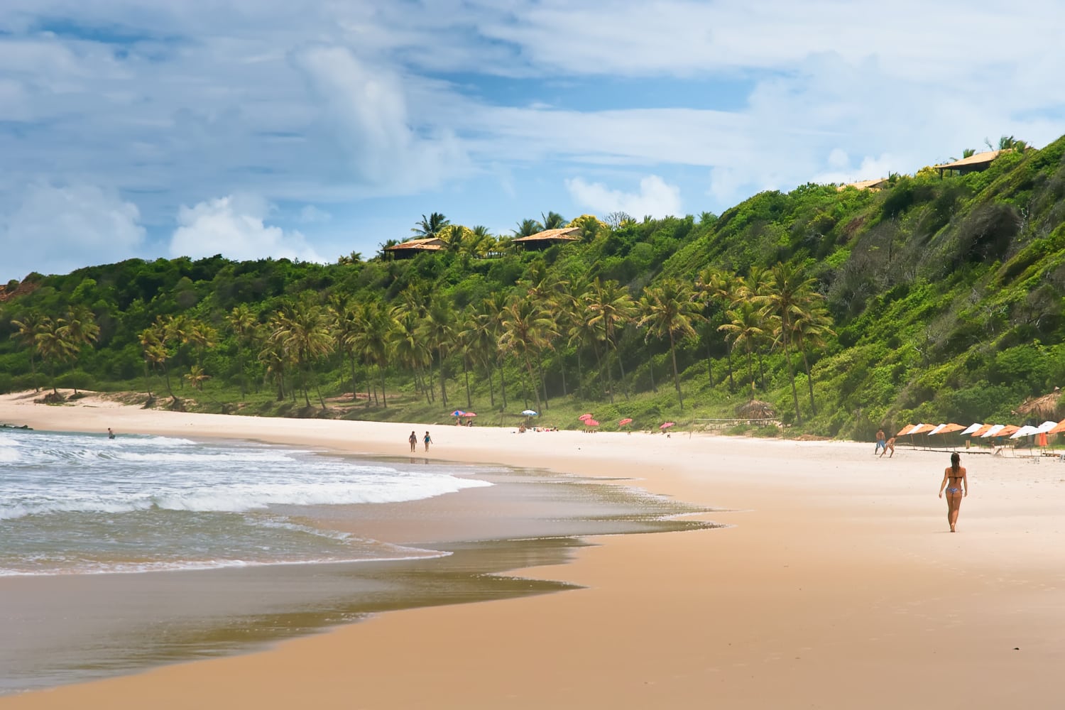 Von palmen gezierter Sandstrand in Brasilien