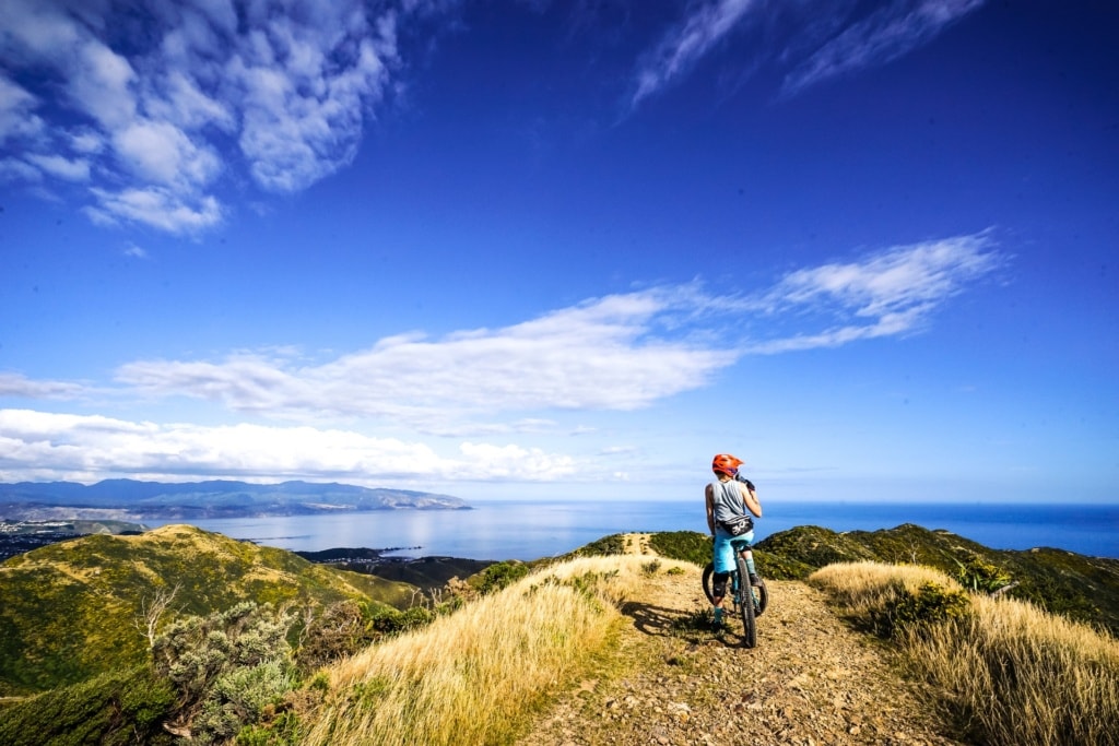 Eine Gruppe Bikerinnen unterwegs auf einem der längsten Trails in Wellington, Neuseeland