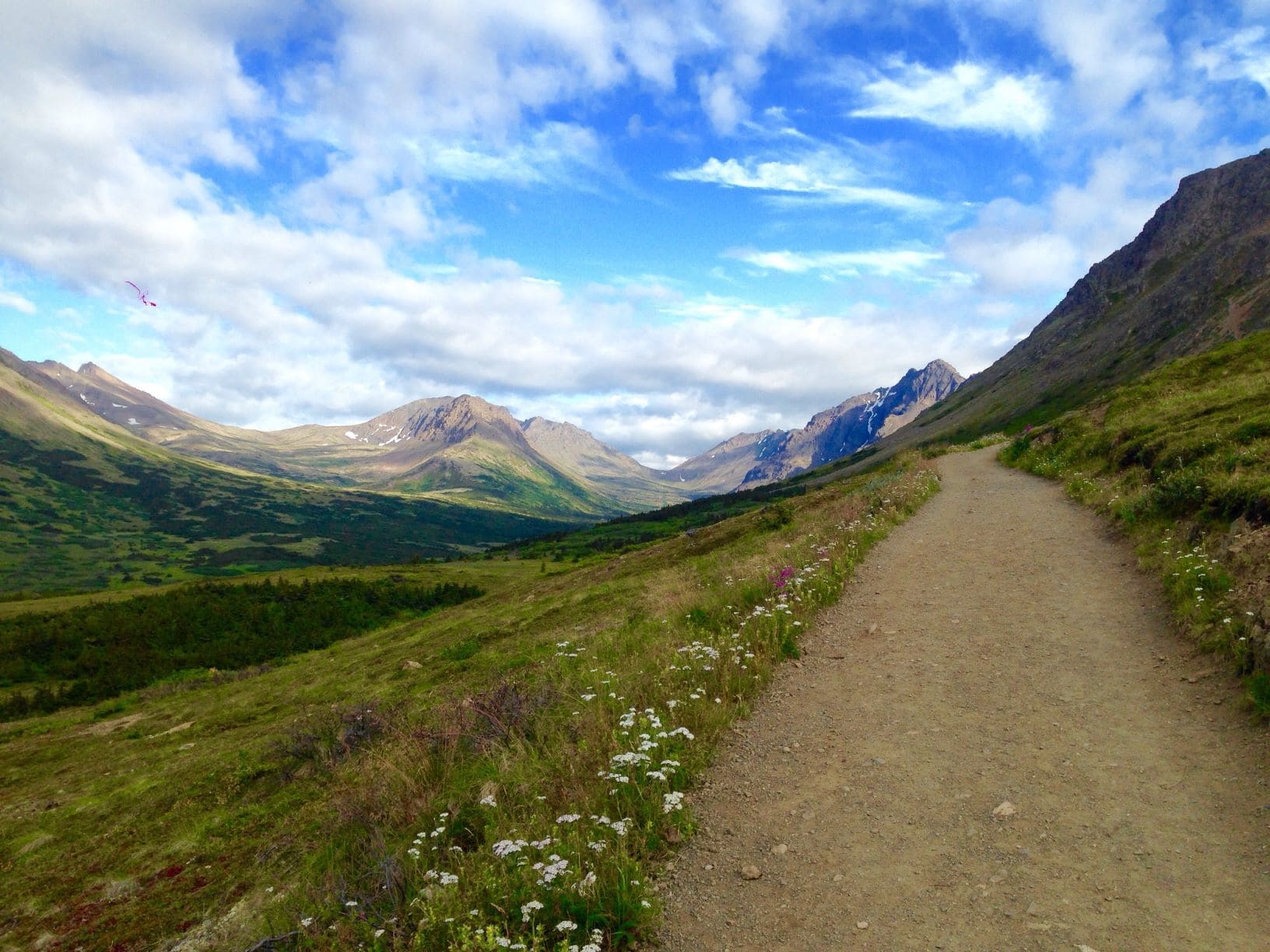 Wandern in Alaska: Trail zum Flattop Mountain