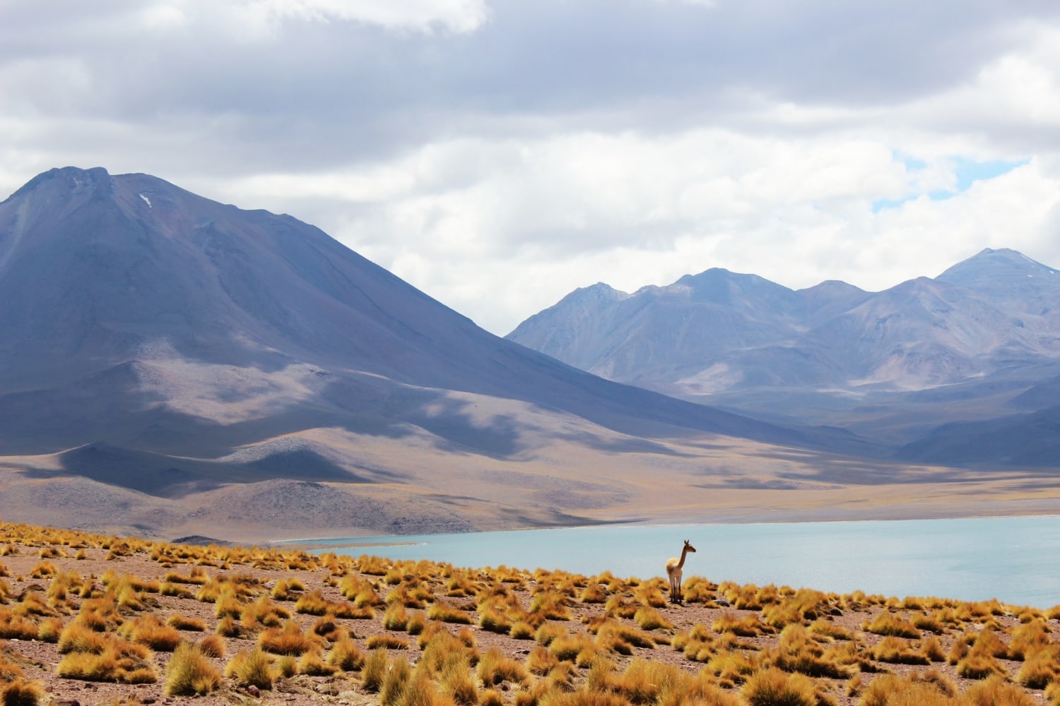 See in der Atacama Wüste iN Chile 