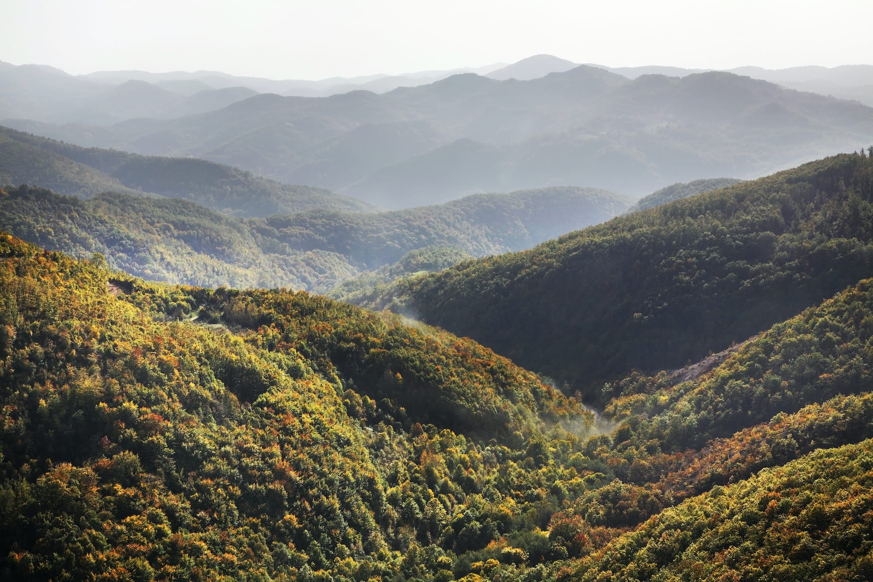 Vernebelter Blick aufs Radan-Gebirge iN Serbien