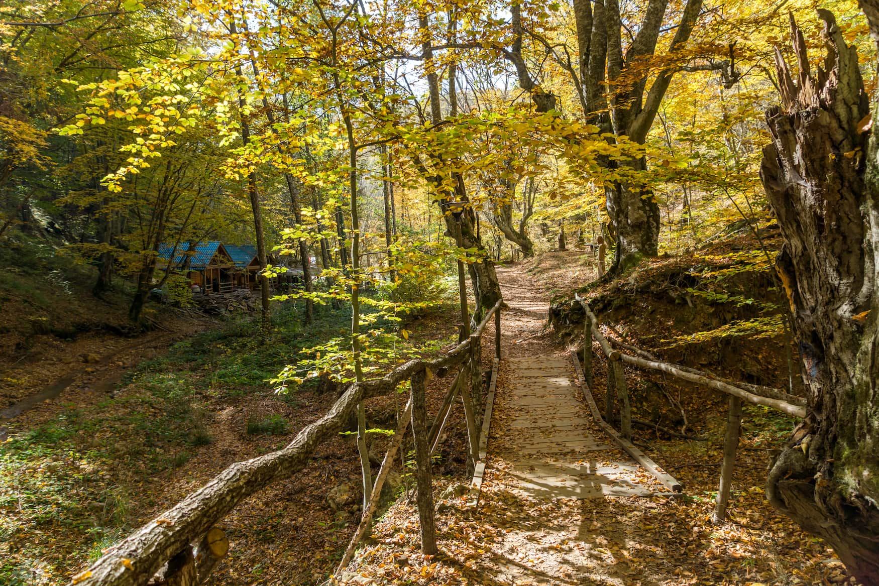 Wanderweg durch radan-gebirge in Serbien