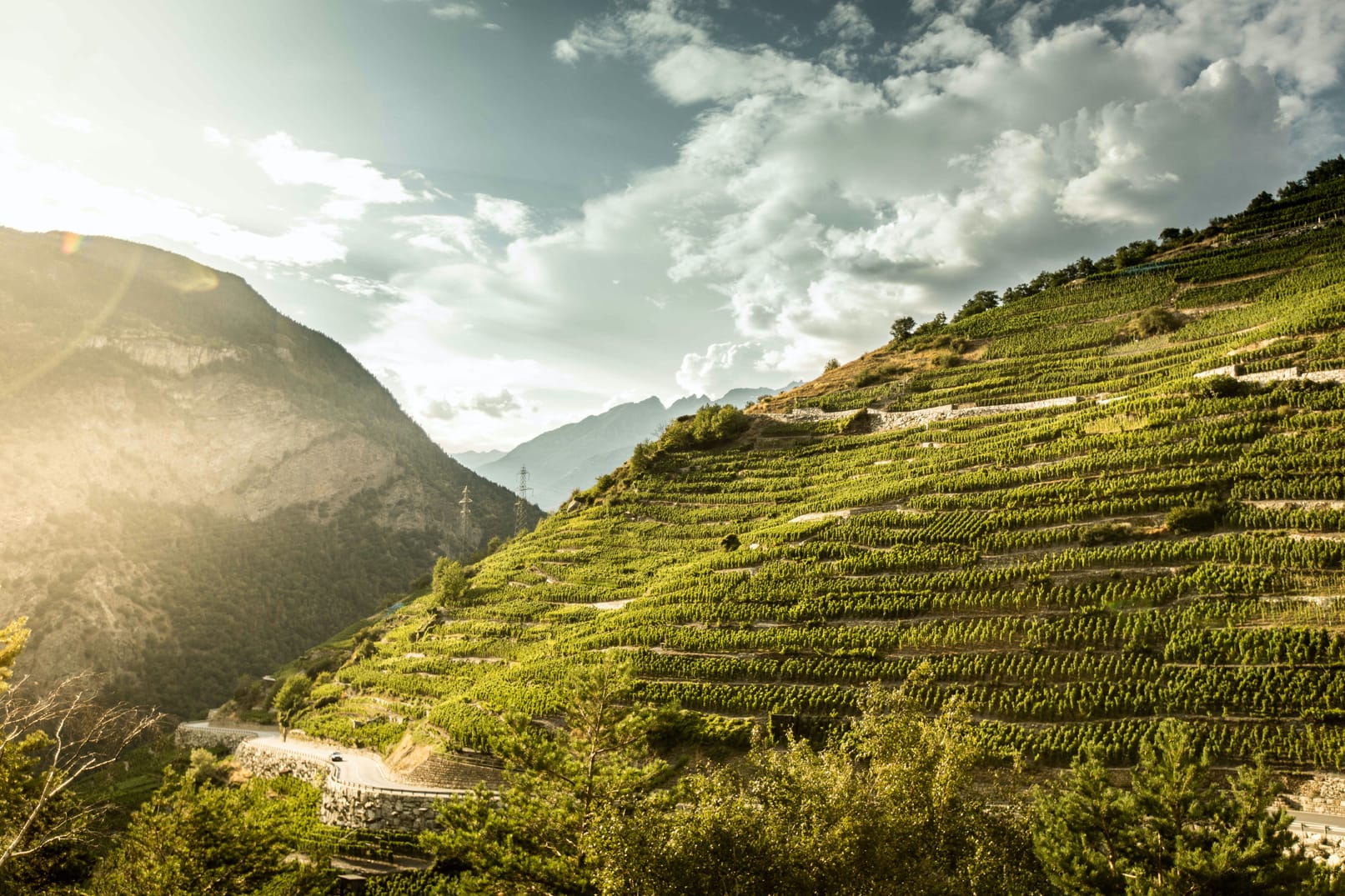 Höchster Weinberg Europas, Visperterminen 