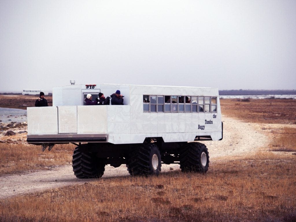 Tundra Buggy