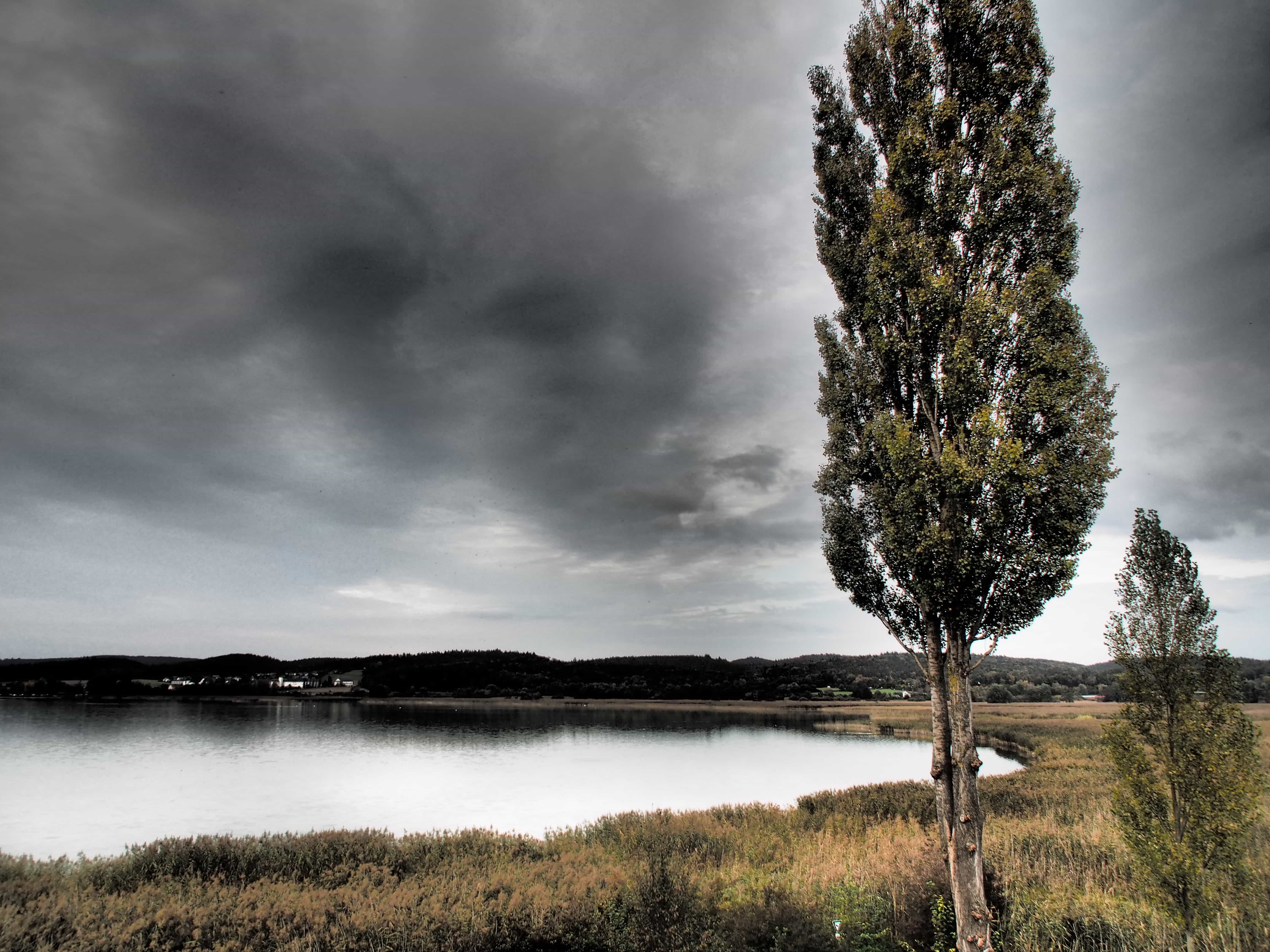 Herbstlicher Bodensee