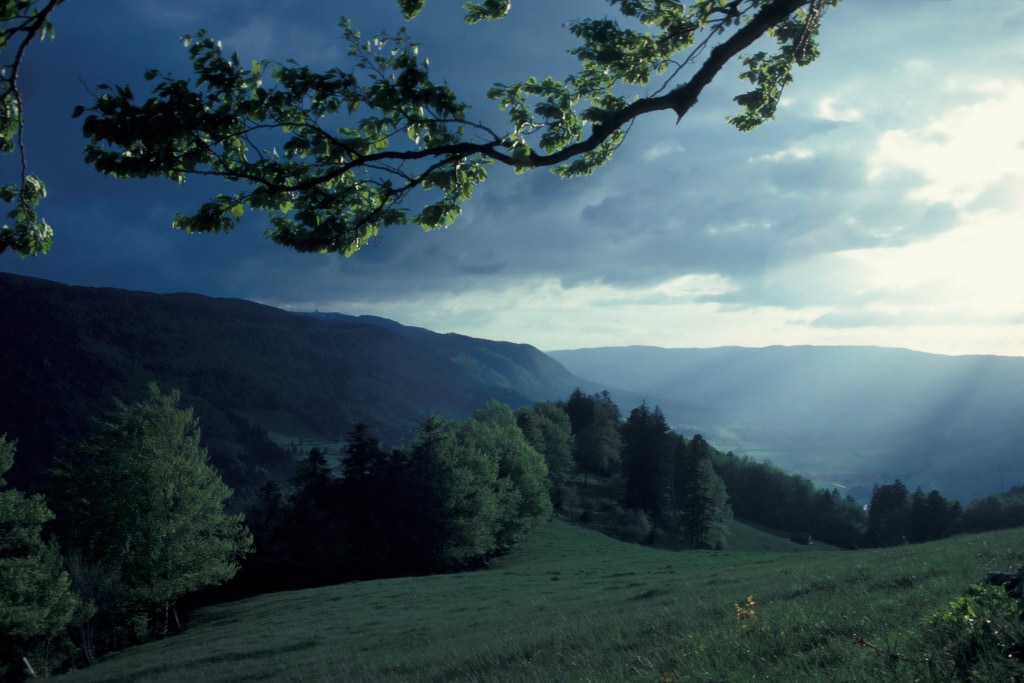 Wandern im Jura