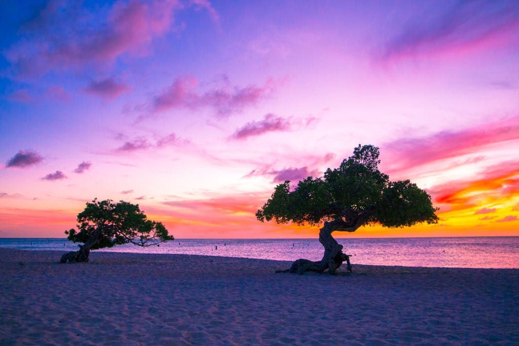 Divi Divi Strand auf Arbua