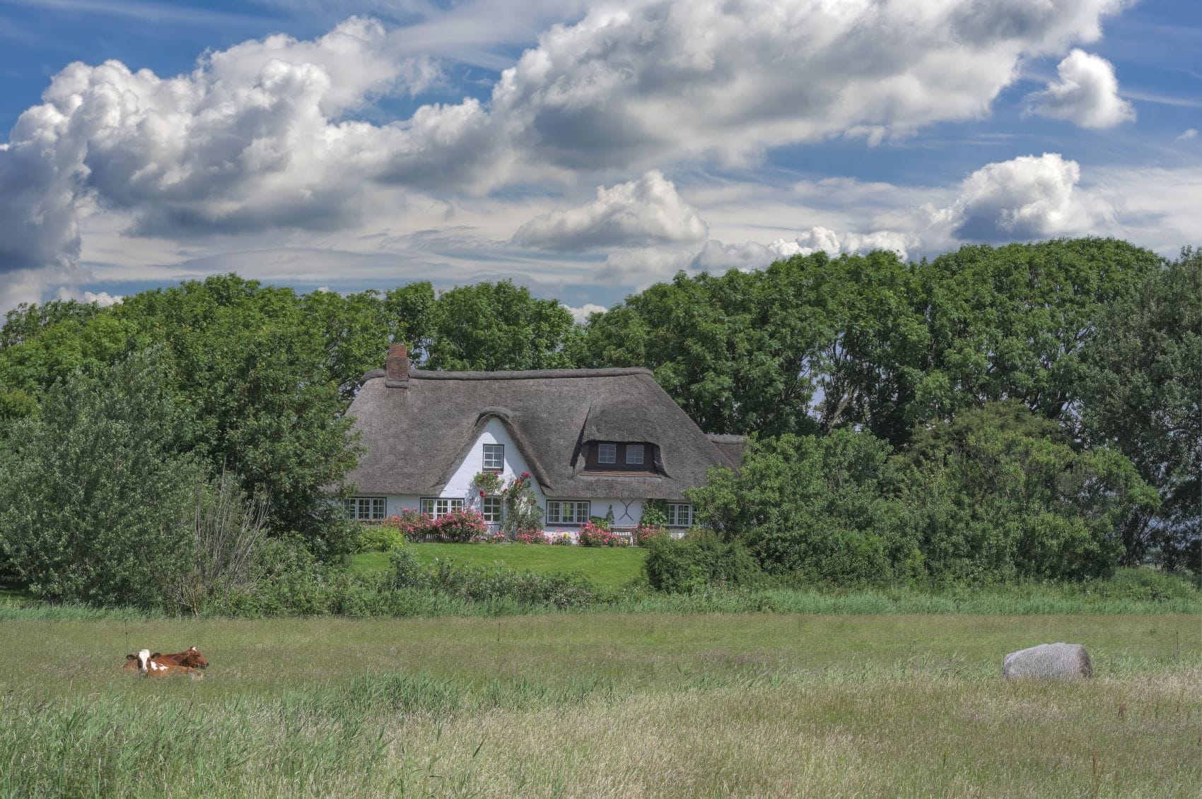 Bauernhaus in Eiderstedt