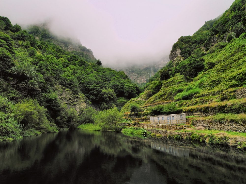 Blick auf Garajonay Nationalpark auf La Gomera