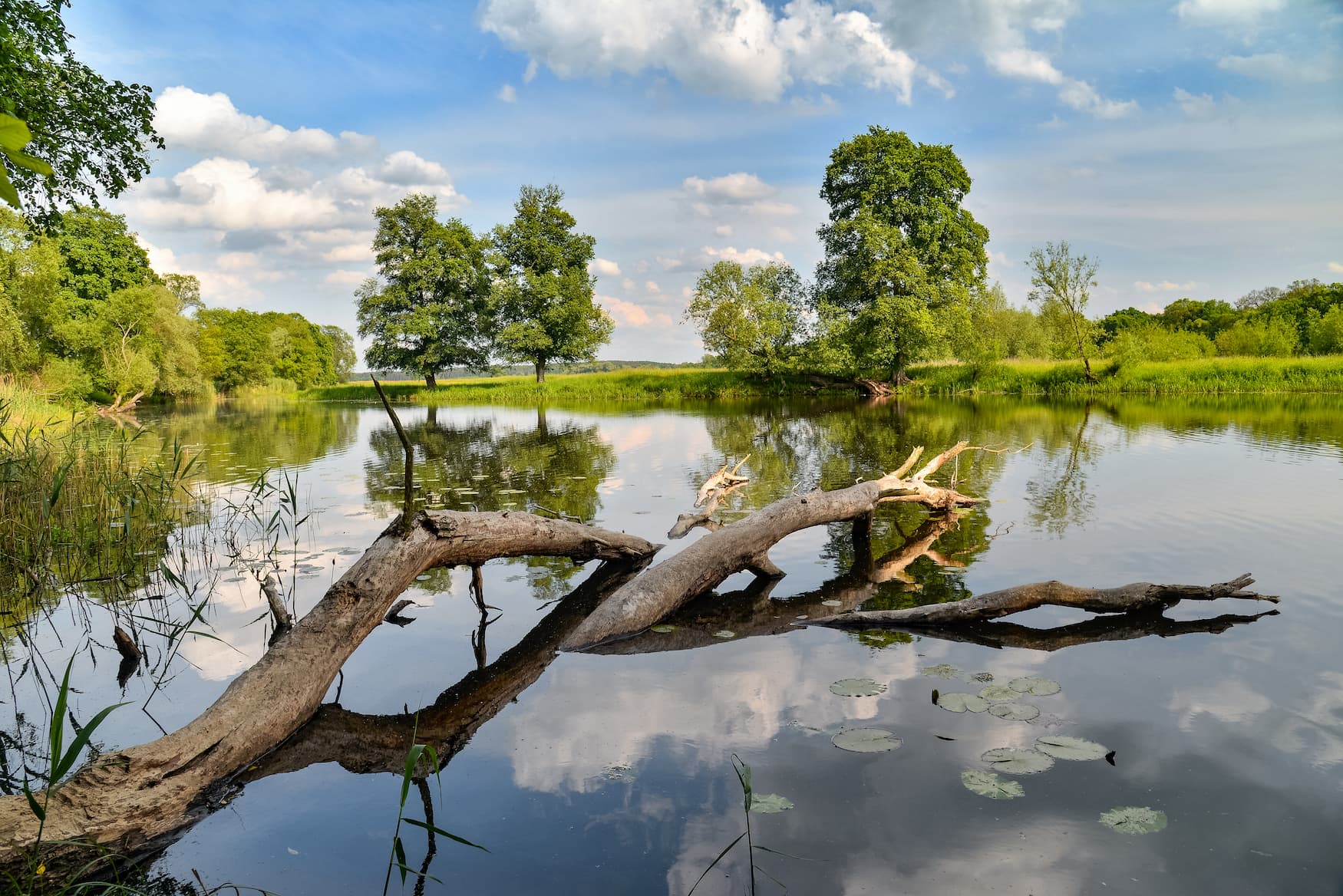 Nationalpark Unteres Odertal auf dem Märkischen Landweg