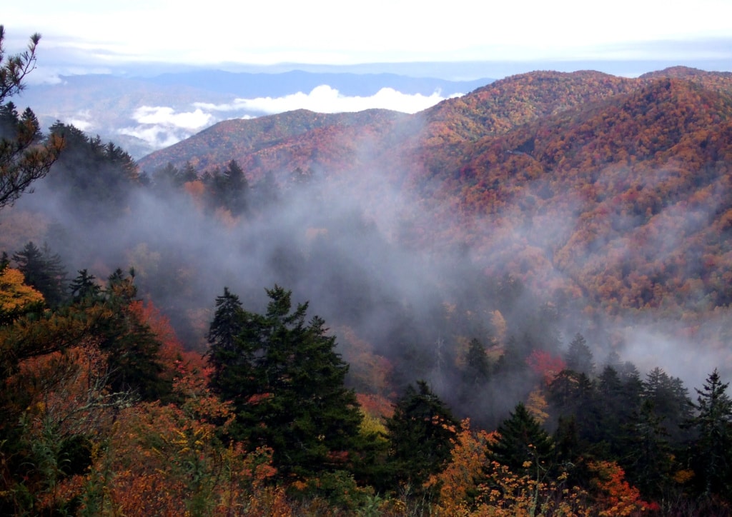 Great Smoky Mountains National Park im Herbst