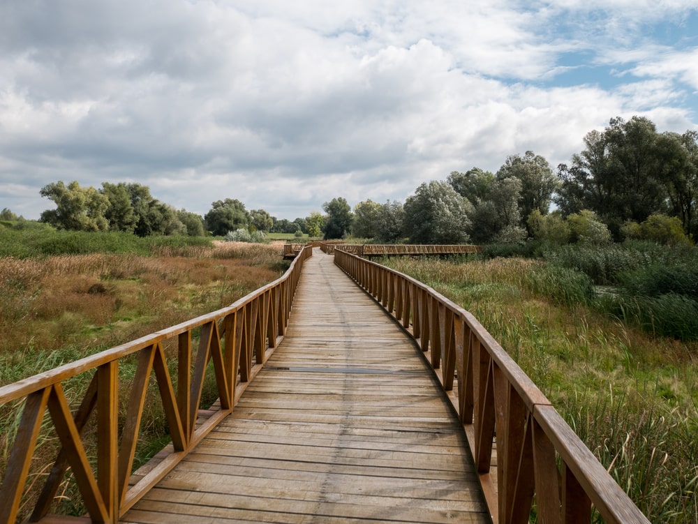 Naturpark Kopacki in Kroatien