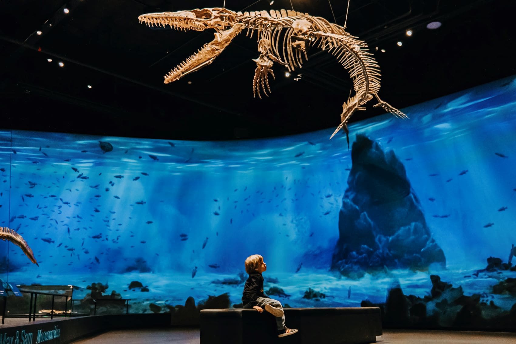 Junge im Dinausauriermuseum Prag
