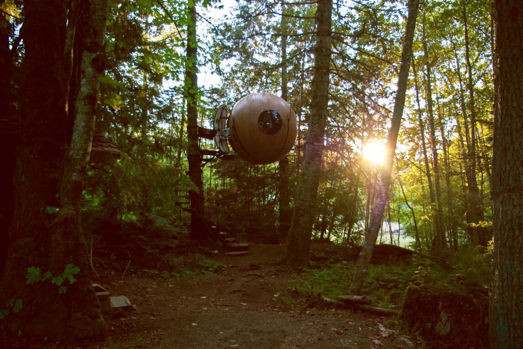 Willkommen in der Waldkugel in Kanada!