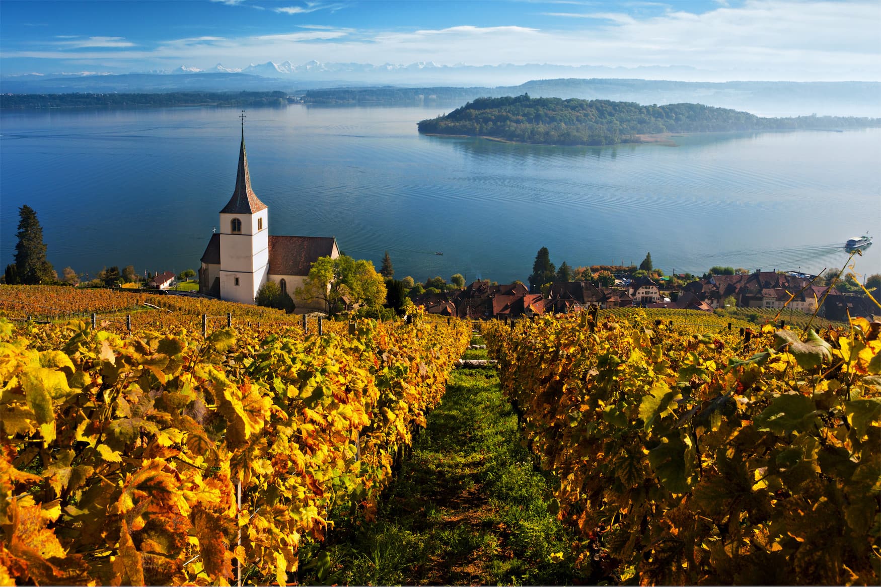 Ligerz im Kanton Bern, ein Weinbauerndorf am Bielersee in der Region Jura und Drei-Seen-Land. Blick über Kirche, Dorf und See auf die St. Petersinsel und die Berner Alpen.