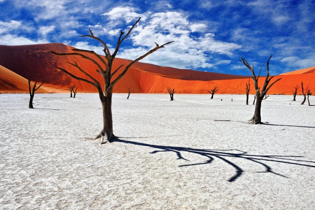 Deadvlei in Namibia