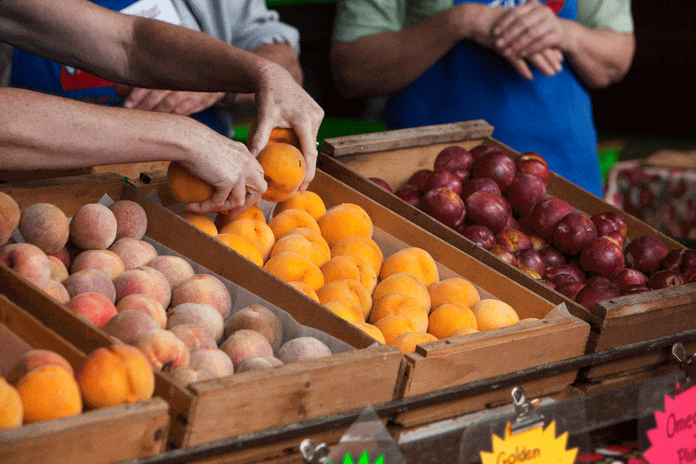 Hawke's Bay Farmer Market