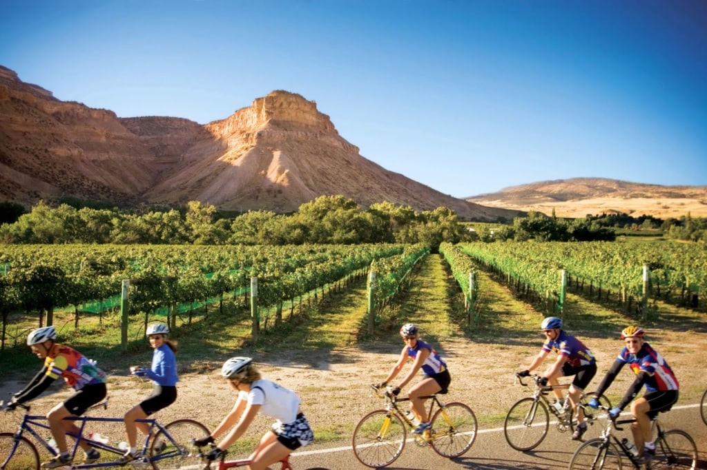 Fahrradrouten in Colorado: Weinberge von Palisade