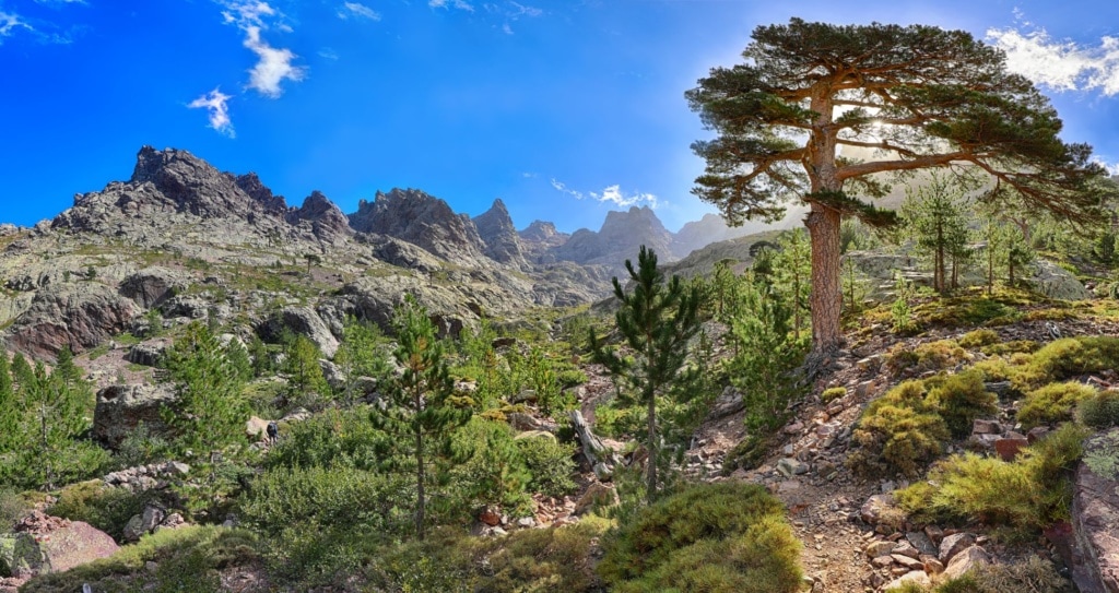 Wanderweg bei Asco auf Korsika