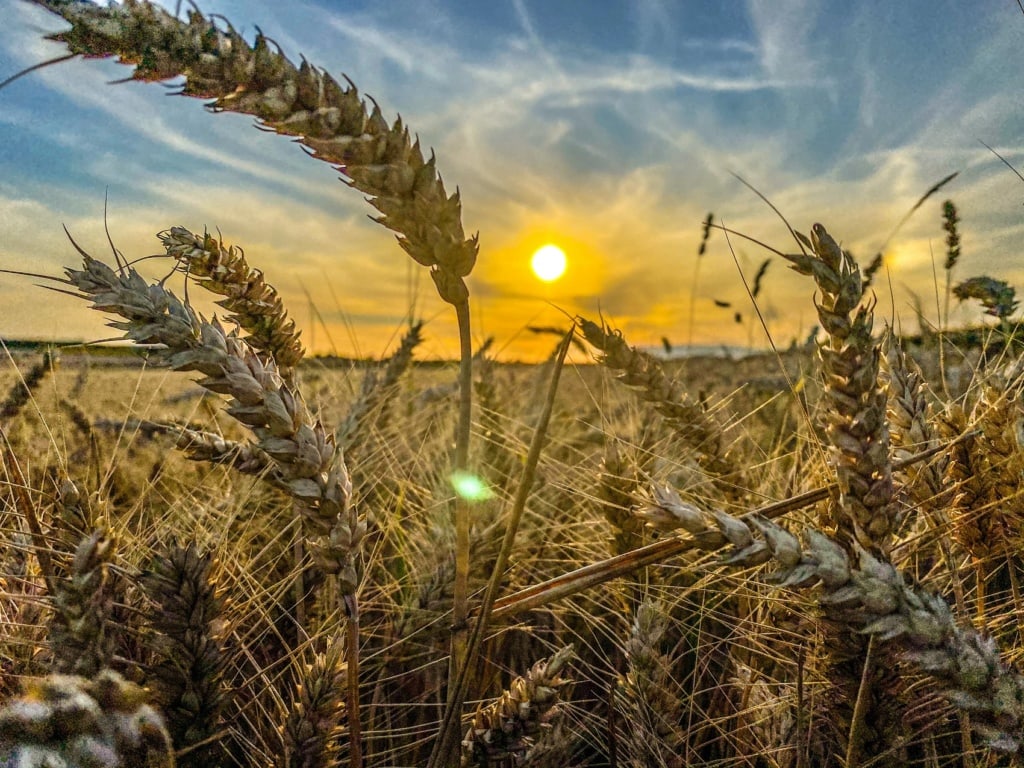 Hessen kann vor allem eins: Natur!