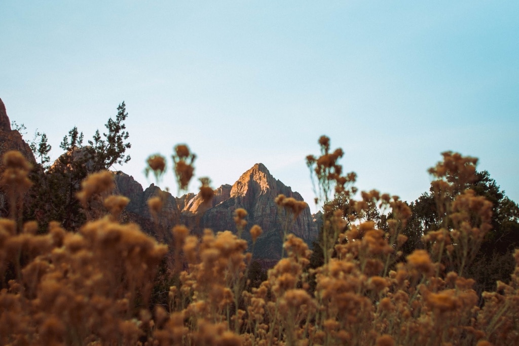 Aufnahme eines Bergs in der Natur von Utah